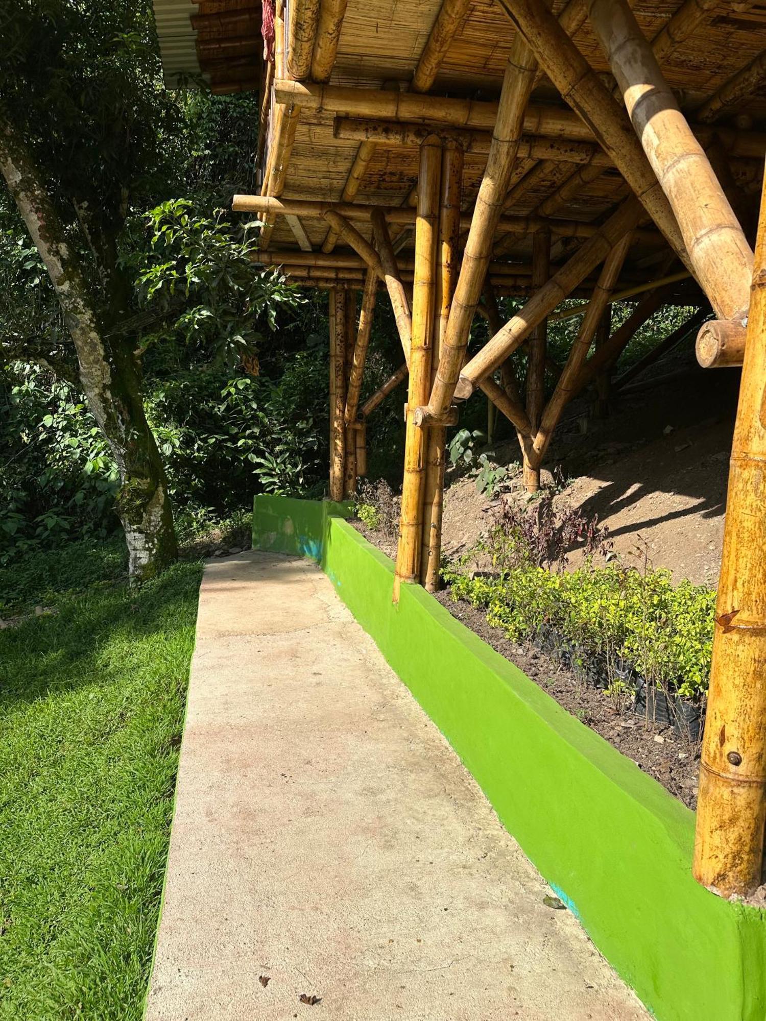 Ecohotel Monteverde 라 베가 외부 사진
