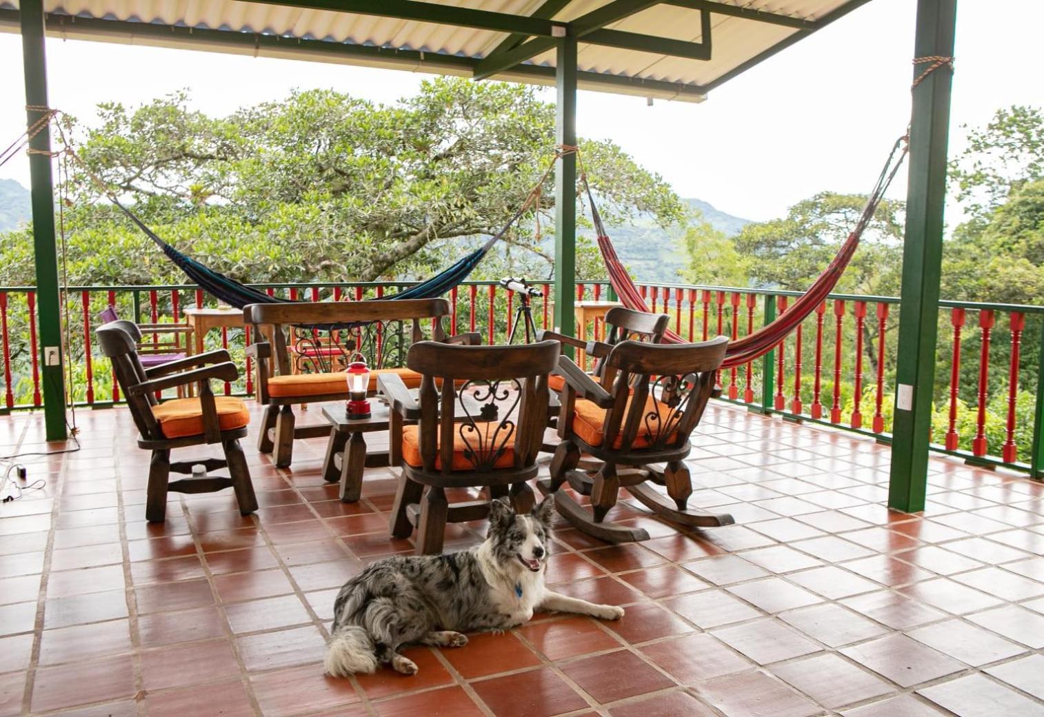Ecohotel Monteverde 라 베가 외부 사진