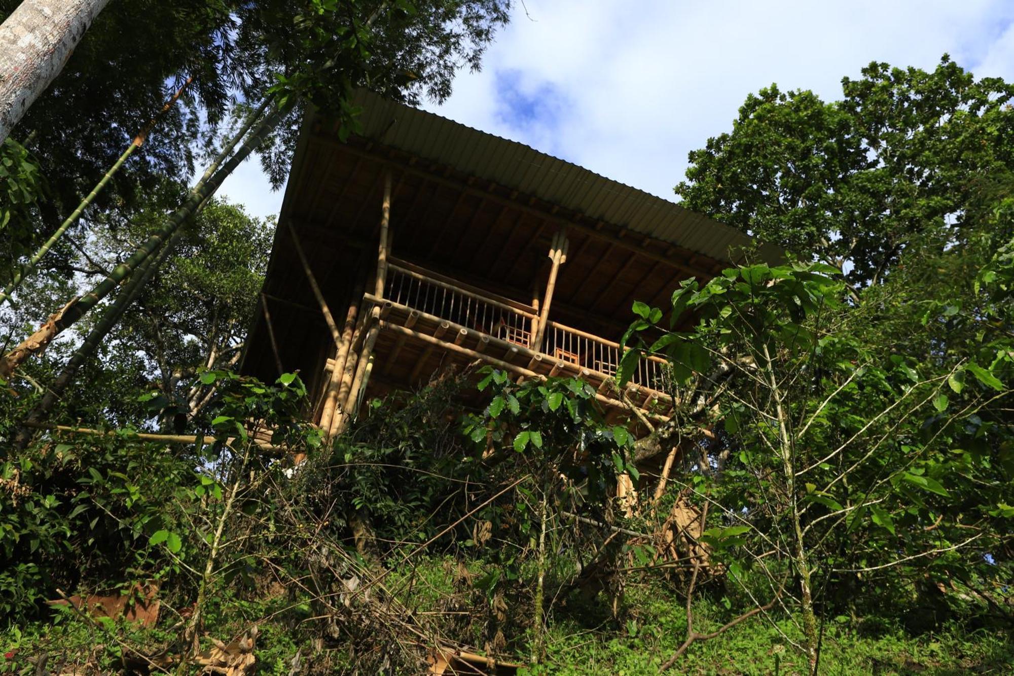 Ecohotel Monteverde 라 베가 외부 사진