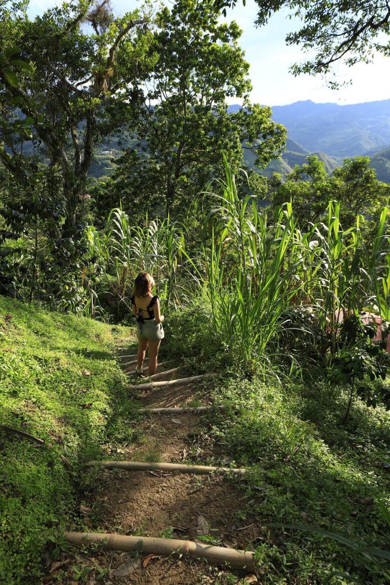 Ecohotel Monteverde 라 베가 외부 사진