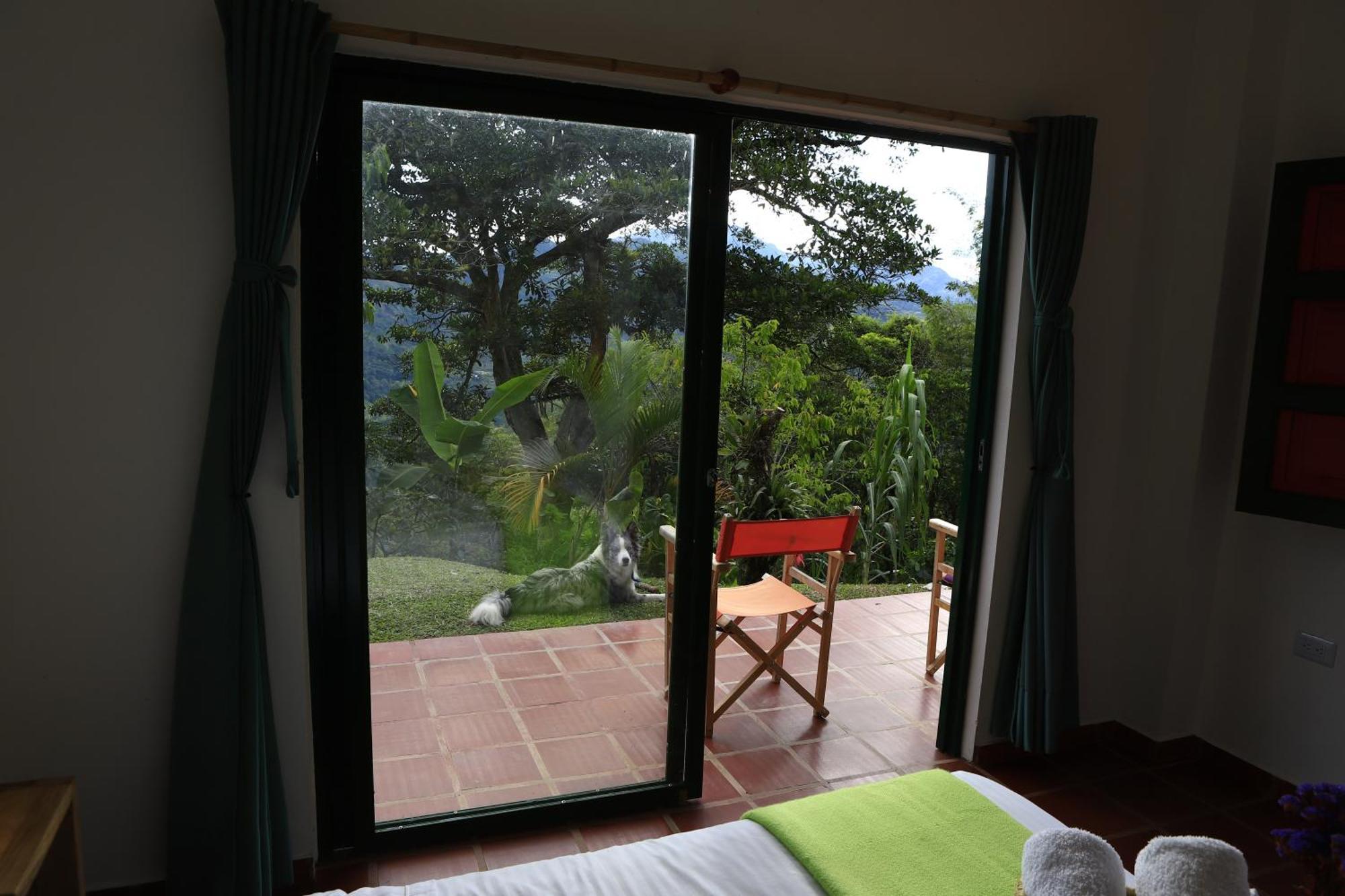 Ecohotel Monteverde 라 베가 외부 사진